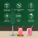 HL1655/00 Hand Blender | Powerful 250W Motor | with Rust free steel arm